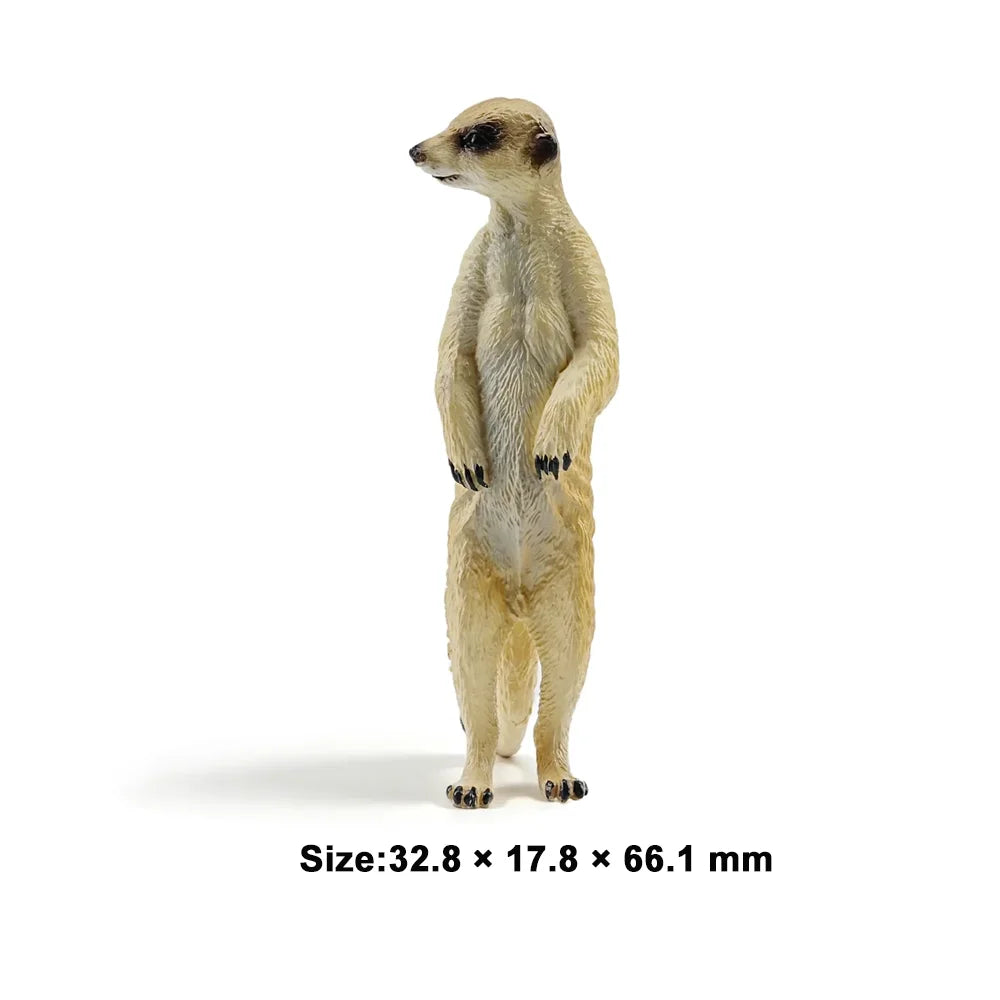 Toymany Simulation African Wild Dog Wildlife Animal Model Toy Mini Figures Dolls Action Figurines Toys Children Gift Cake Decora