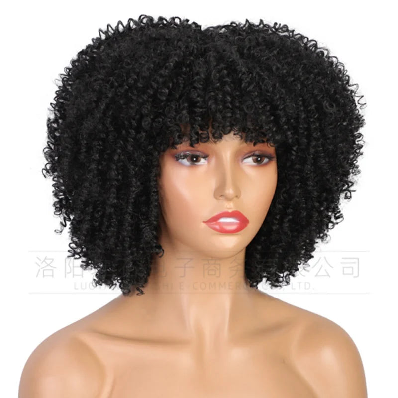 European and American women's African black fluffy small curly afro wig full head cover