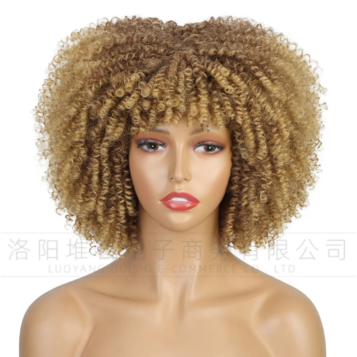 European and American women's African black fluffy small curly afro wig full head cover